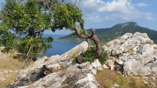 Ancient City Amos
