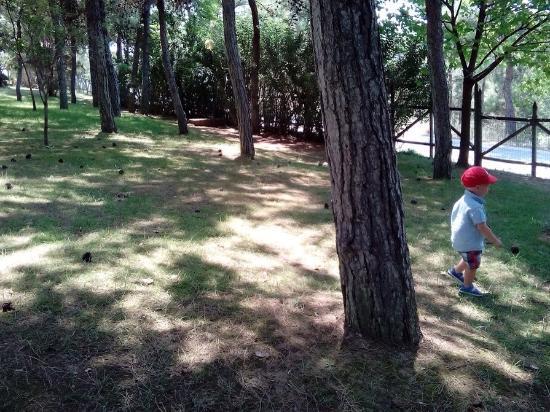 Zoo Thessaloniki