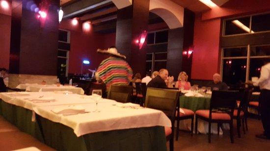 Los Gallos