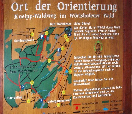 Kneipp Waldweg