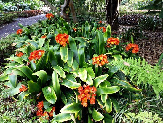 Botanischer Garten