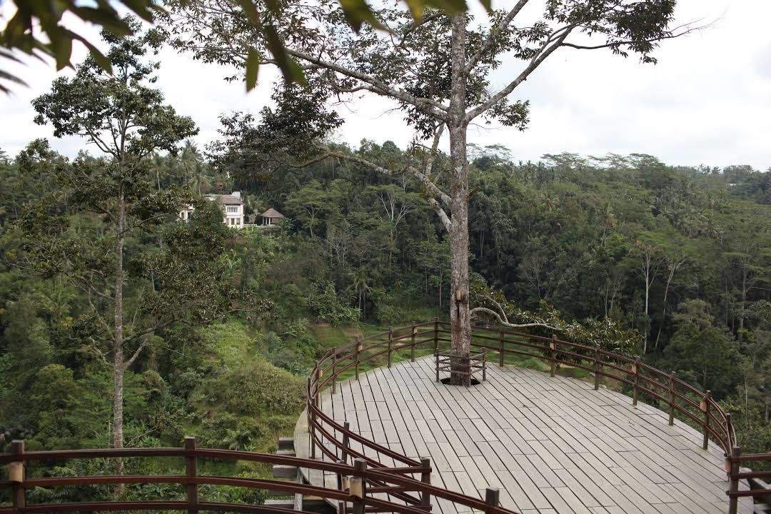 Bali Pulina