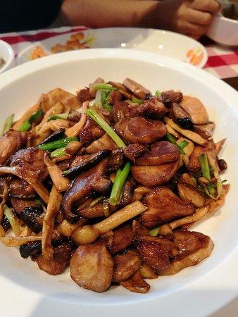 XiBei YouMian Cun