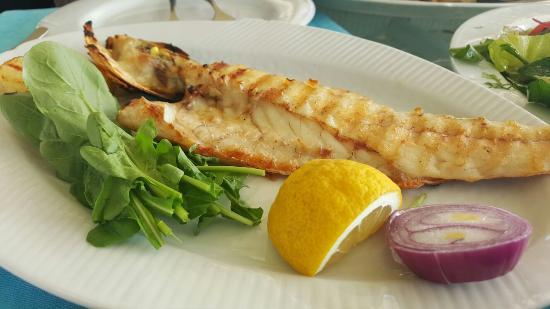 Macit Restaurant
