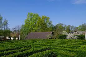 Irrgarten
