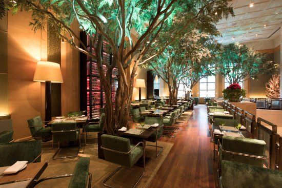 The Garden at The Four Seasons