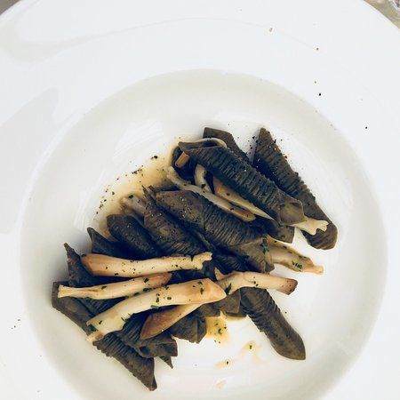 L'Anice Stellato
