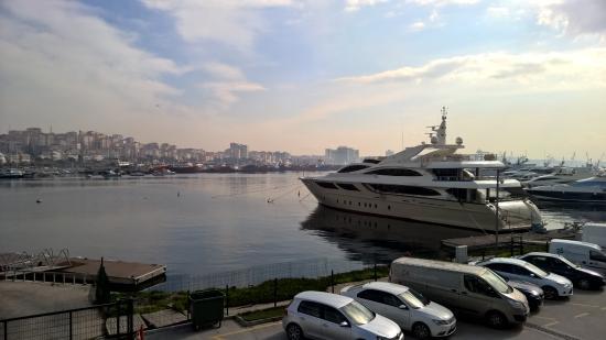 MarinTurk