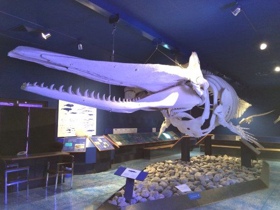 Naturkundemuseum