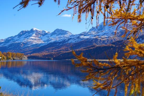 Silvaplanersee