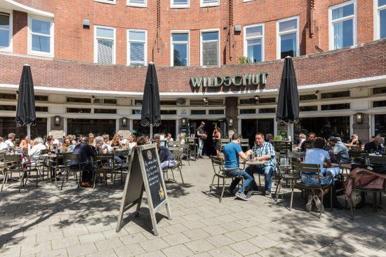 Wildschut