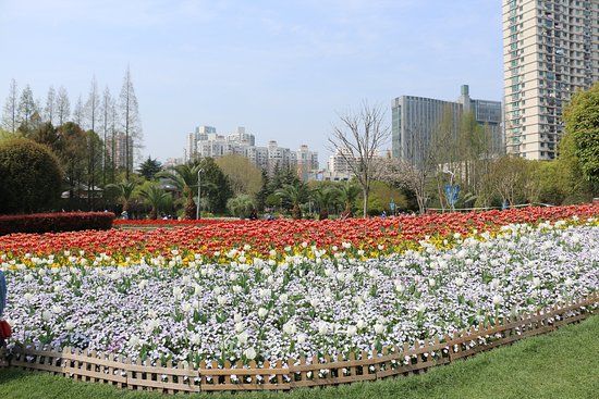 Nanyuan Binjiang Park