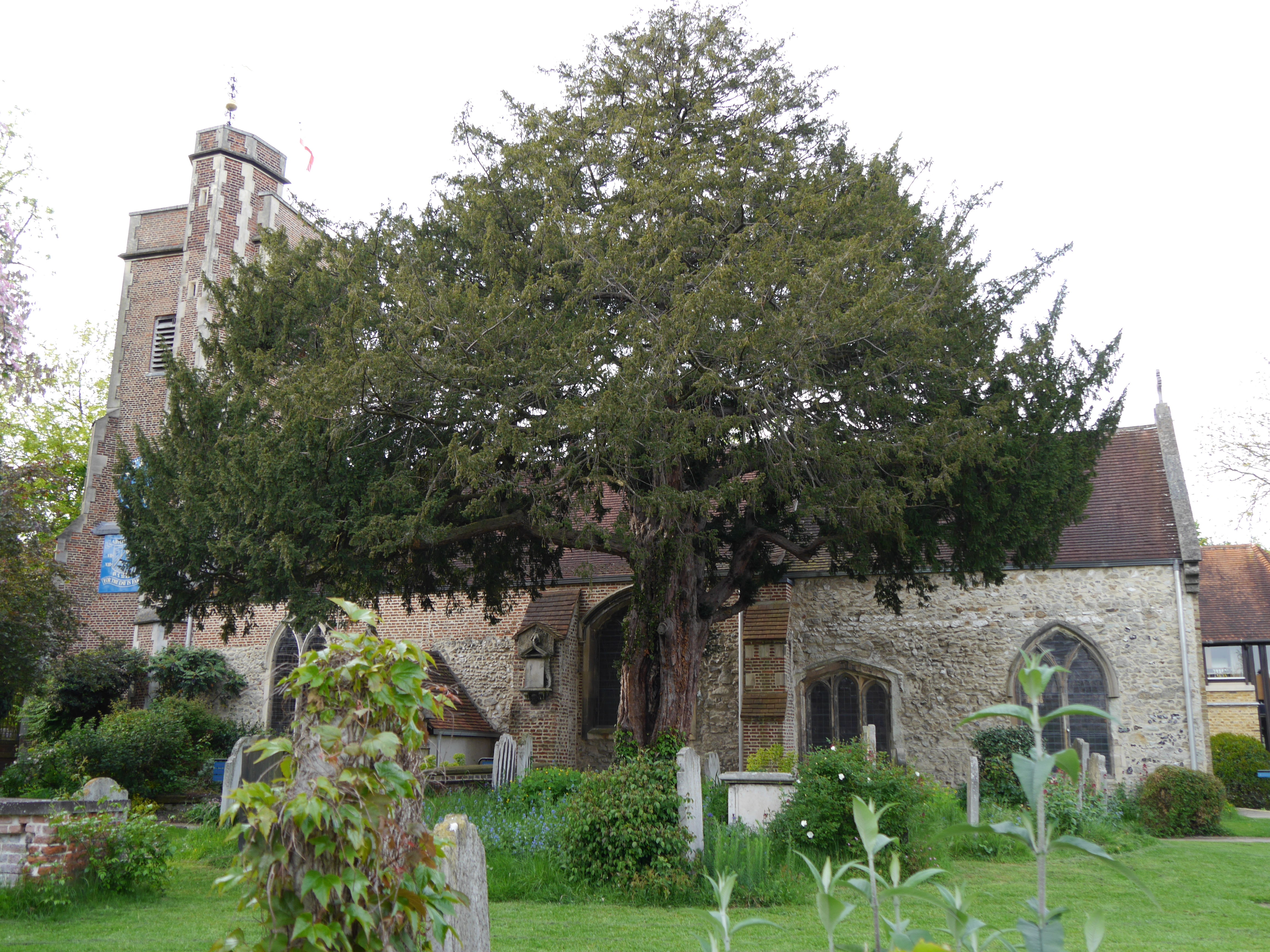 Church of St Mary