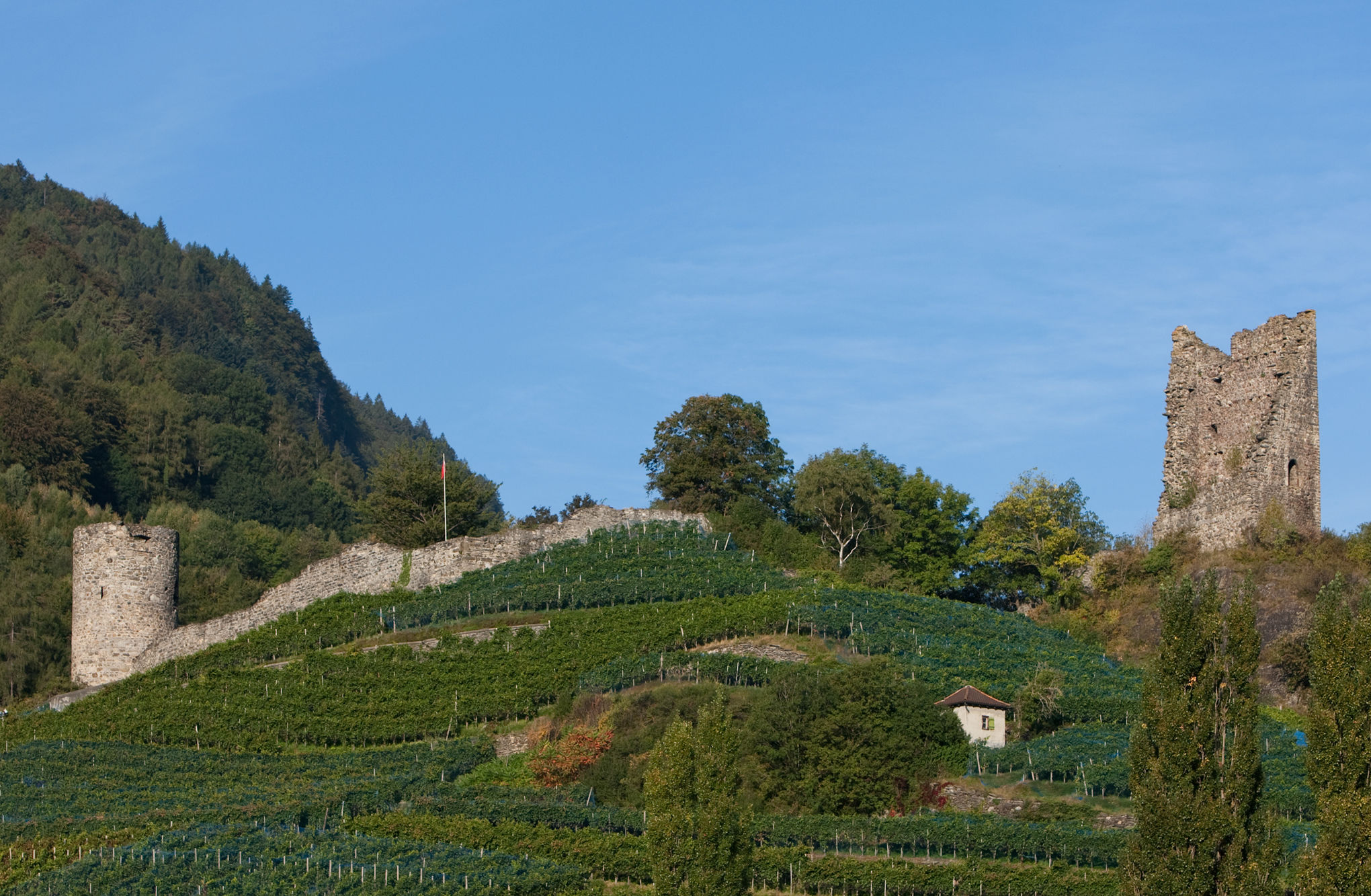 Burg Freudenberg