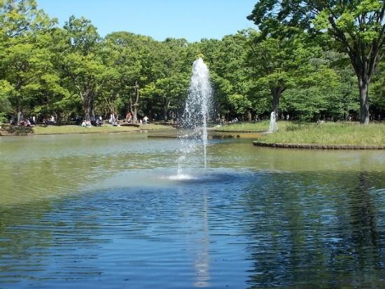Yoyogi-Park