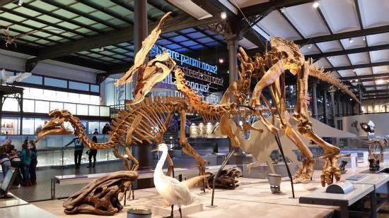 Museum für Naturwissenschaften