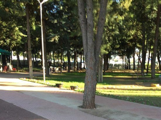Dokuma Park