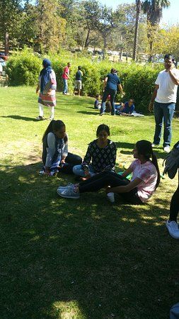 Wynberg Park